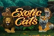 Exotic Cats