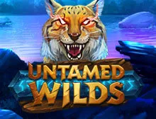 Untamed Wilds